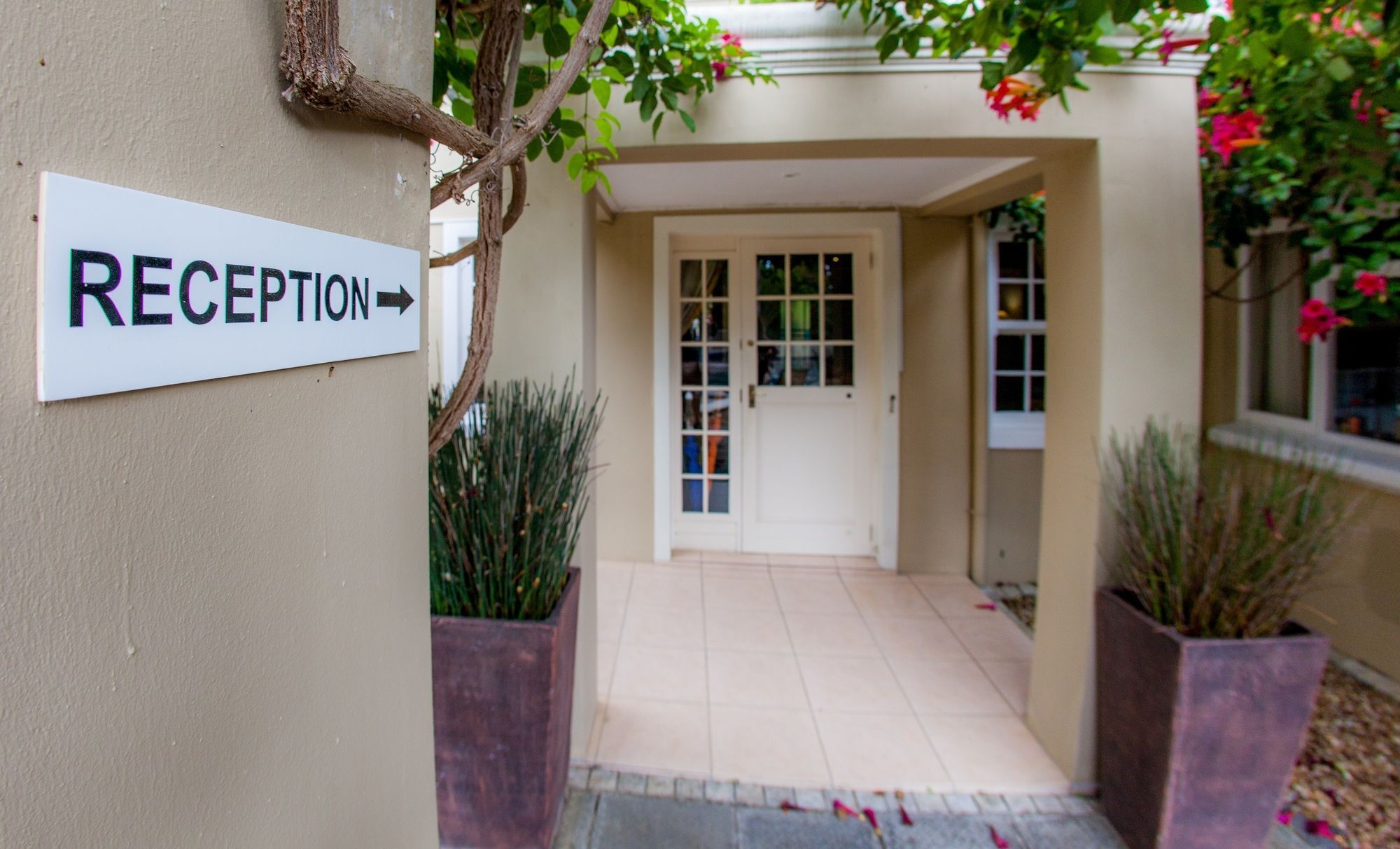 Somerset Villa Guesthouse Somerset West Kültér fotó