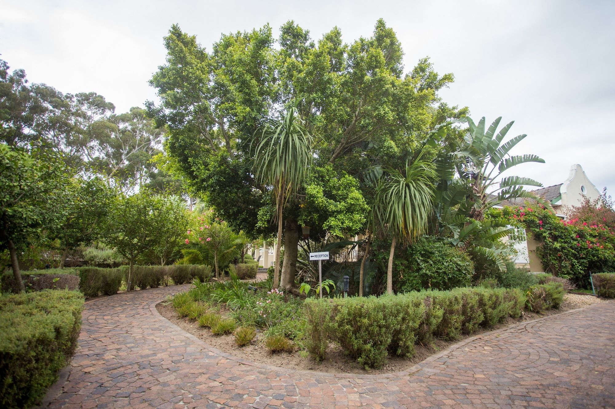 Somerset Villa Guesthouse Somerset West Kültér fotó